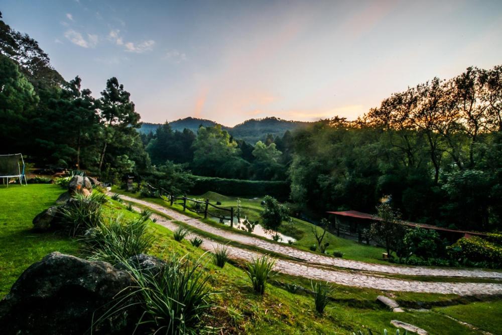 Lofts In The Forest อบานดาโร ภายนอก รูปภาพ